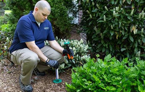 Using Sentricon Stations Offers A Green Solution To Eliminate Termites