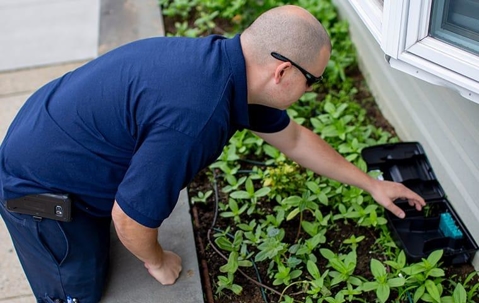 technician checking rodent trap