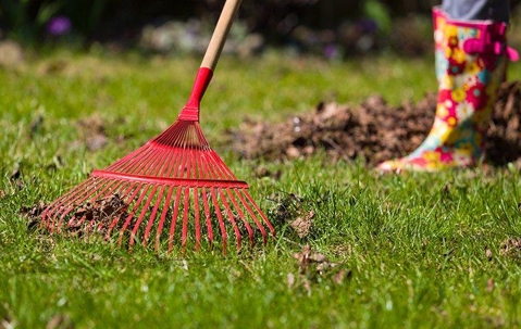 women racking the lawn