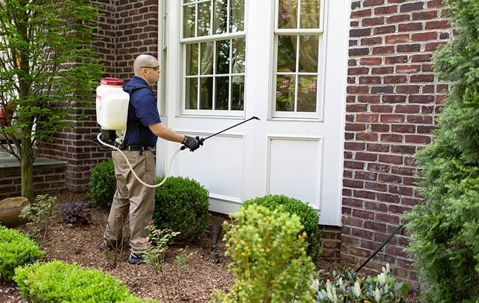 Spraying ant spray on a house