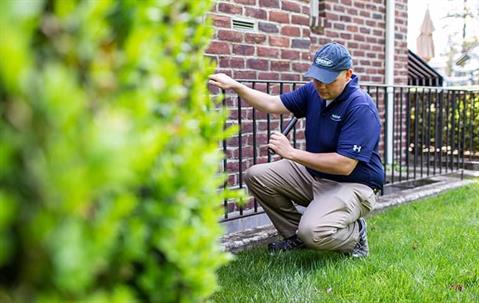 Man inspecting outside a house
