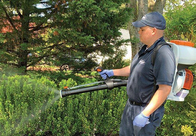 a tech treating for mosquitoes outside home