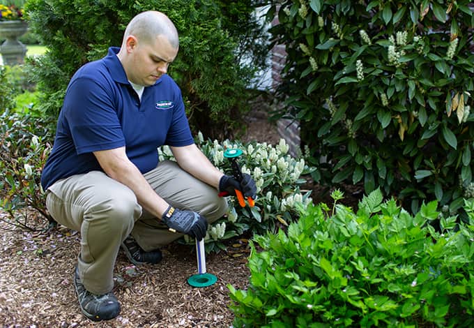 Pest control technician at work in a garden