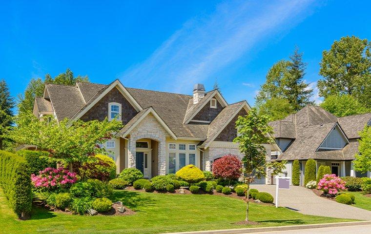 Front house view