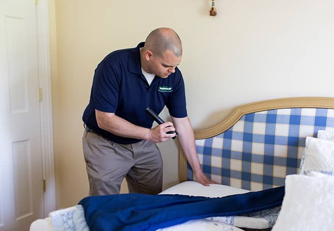 Pest control technician checking a bed for bugs