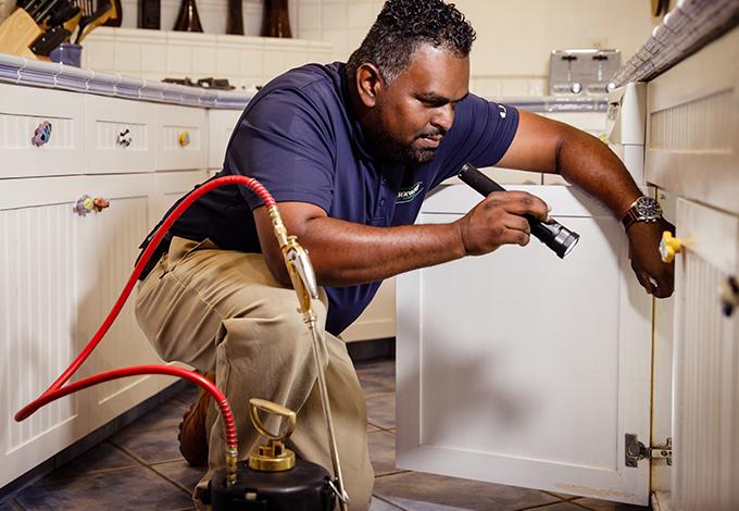 inspecting cabinets worker