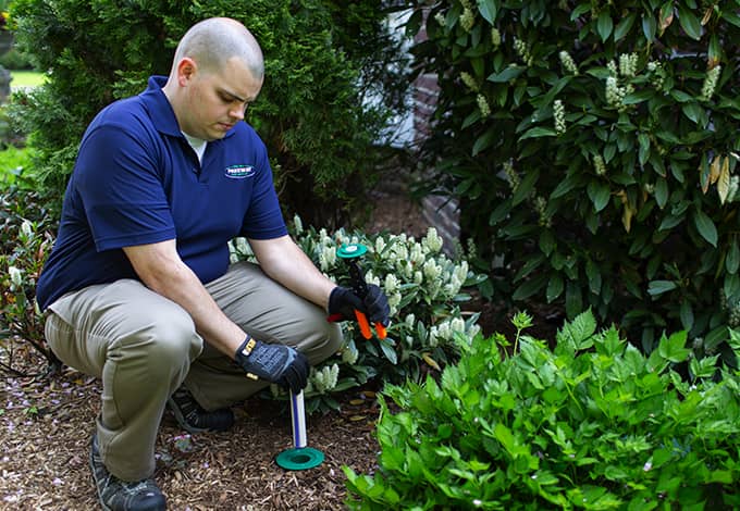 pest technician installing termite control in valley stream