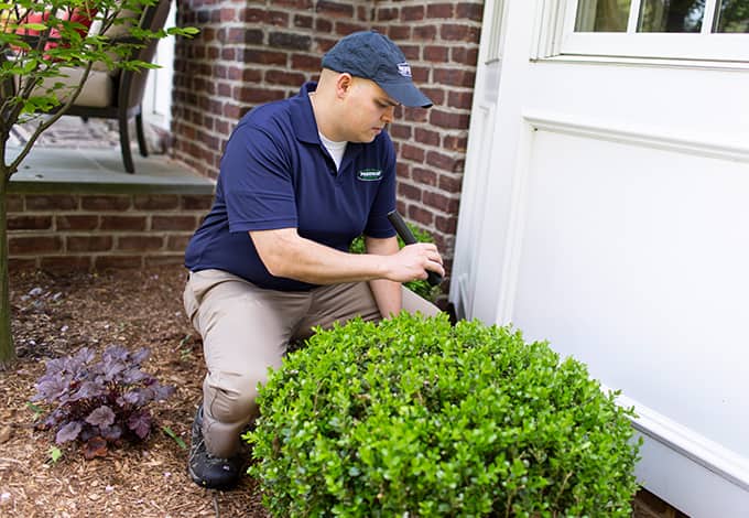Technician inspecting a residential property exterior