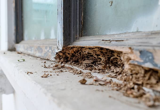 A severely damaged window sill