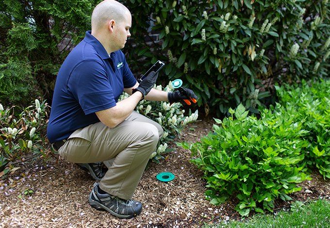 Technician conducting an inspection